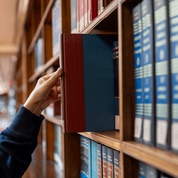 Shelf, Furniture, Book