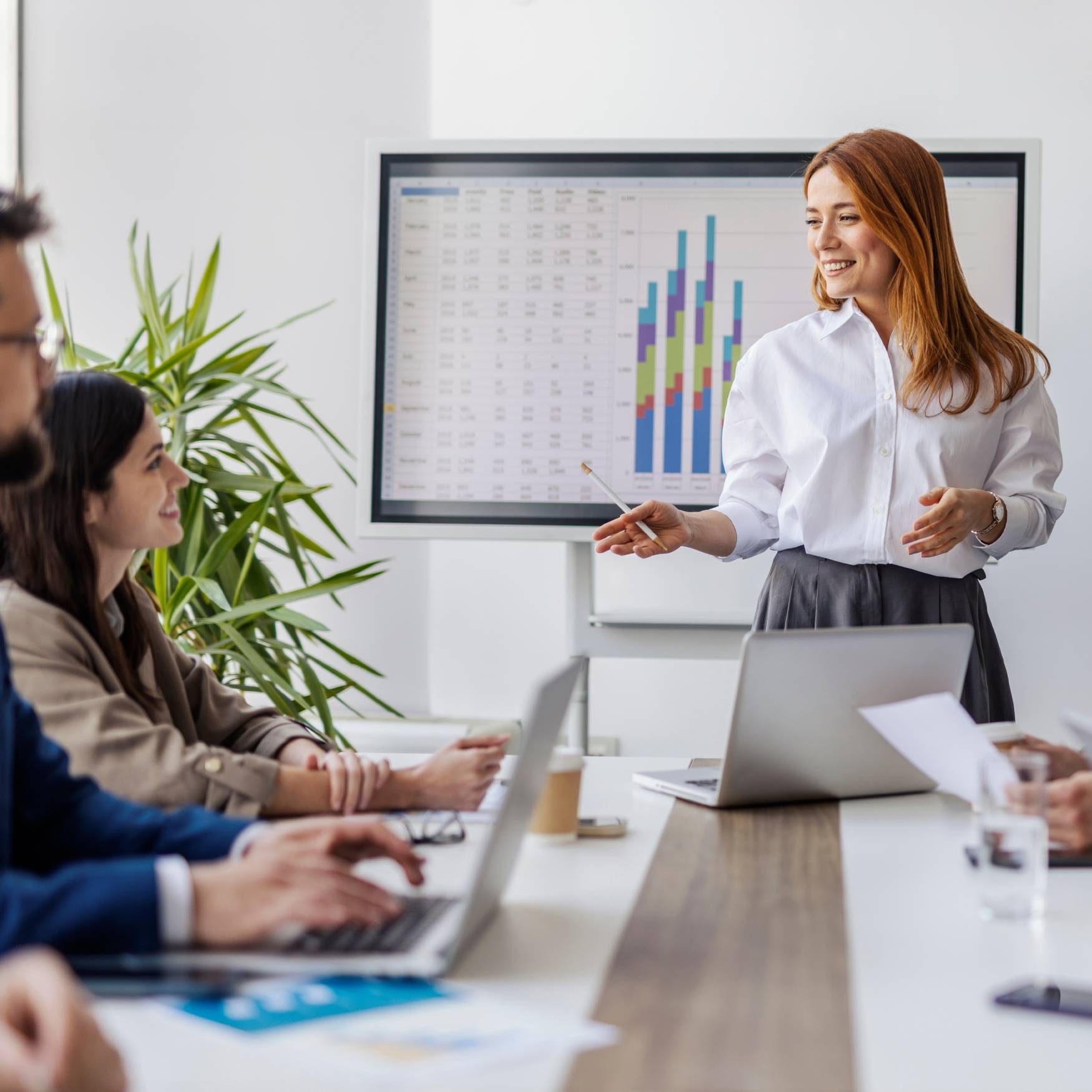 Executive, Person, Computer