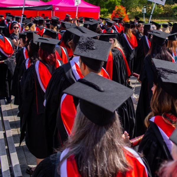 banner-image