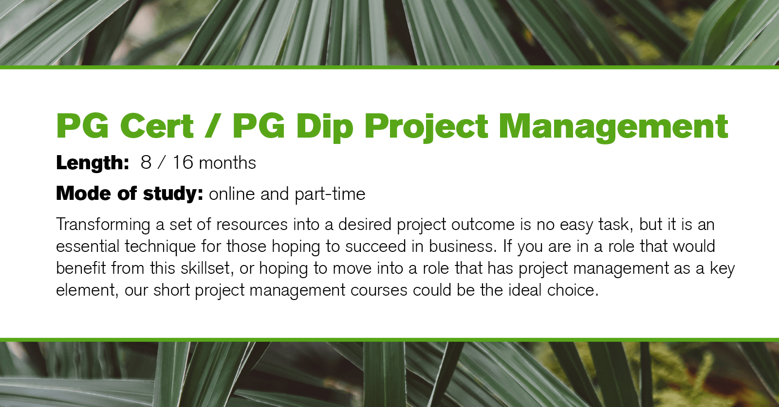 PG Dip Project Management Online UK | Essex Online