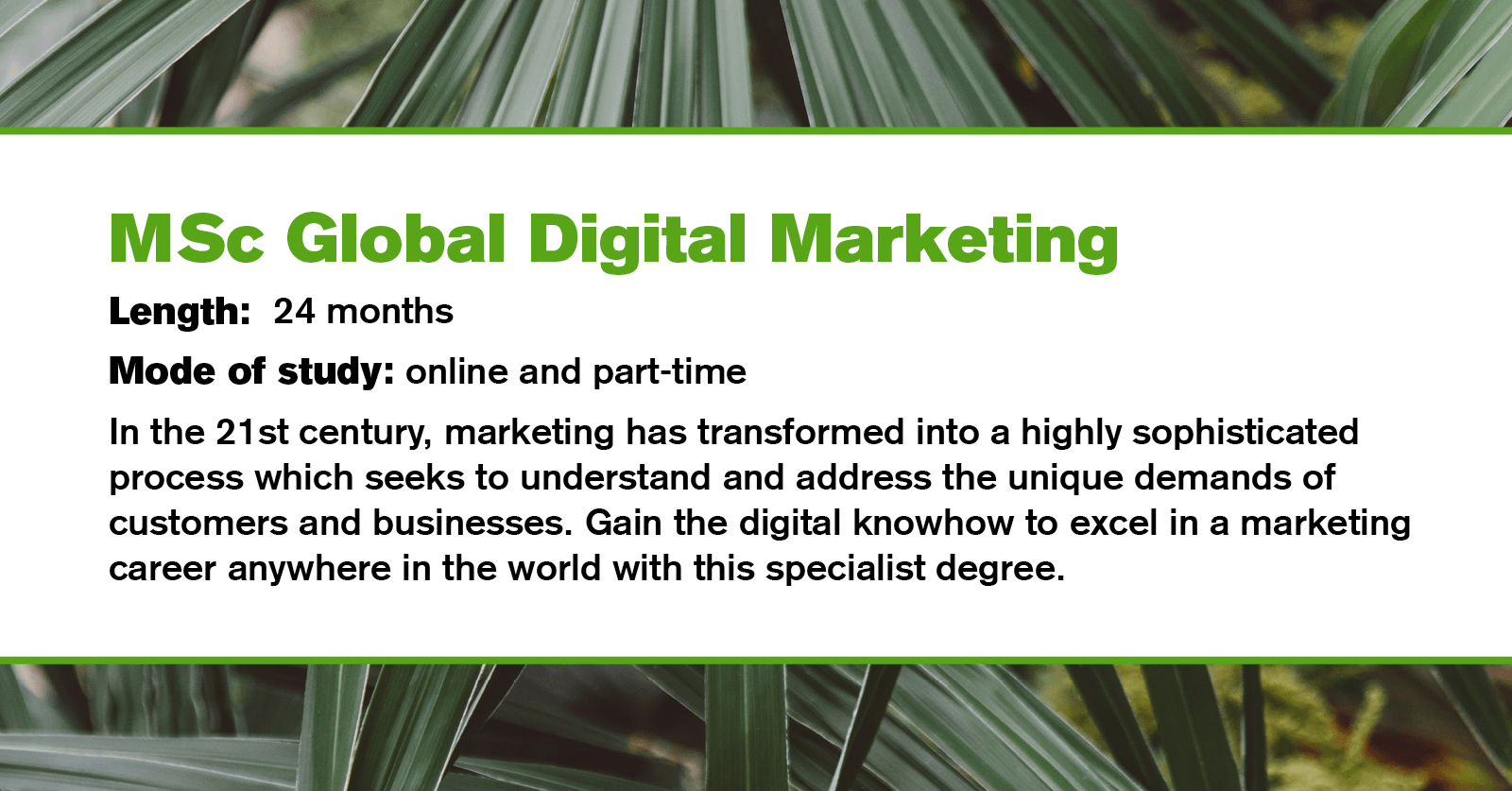 Digital Marketing di Essex: Panduan Lengkap untuk Bisnis Lokal dan Internasional