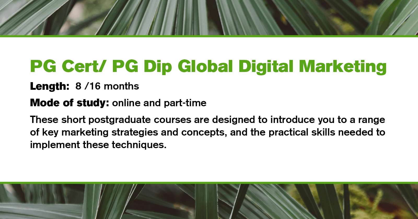 PG Cert Global Digital Marketing | Postgraduate Certificate | University of  Essex Online